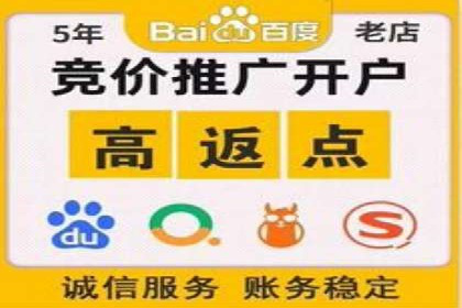 百度竞价推广公司实战案例：打造爆款产品的广告策略